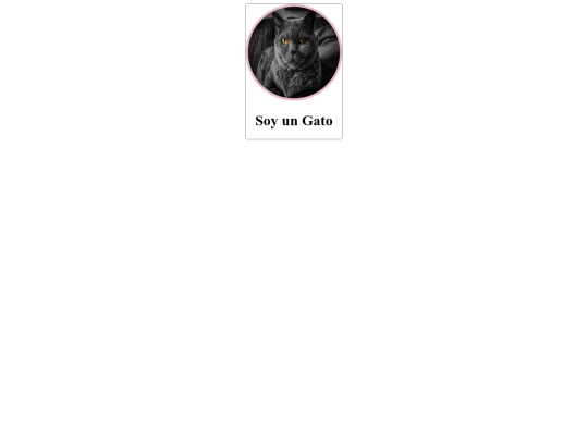 Soyungato screenshot