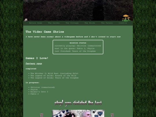 videogames screenshot