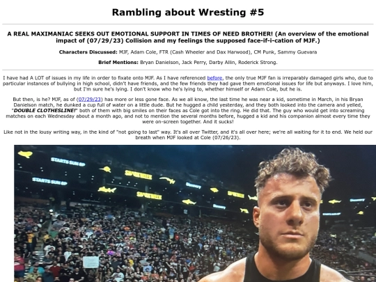 essays/raw5 screenshot
