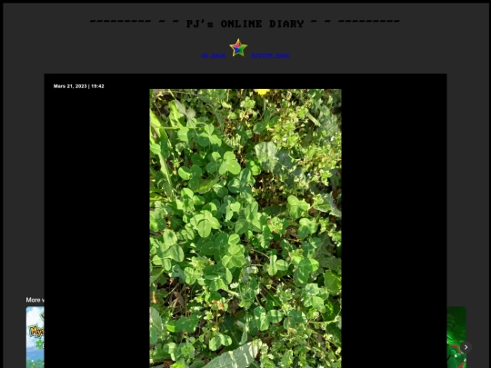 diary screenshot