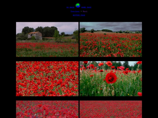 gallery/photo/11 screenshot