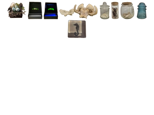 taxidermy/curios screenshot