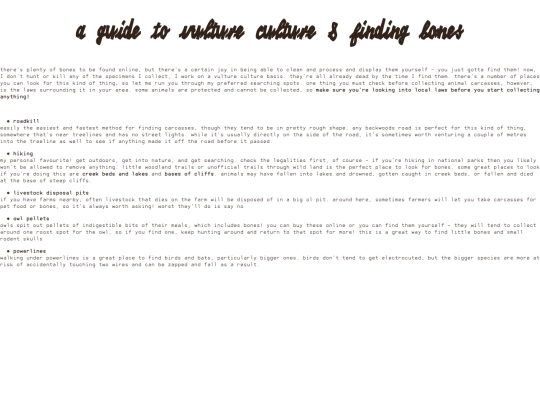 taxidermy/finding screenshot