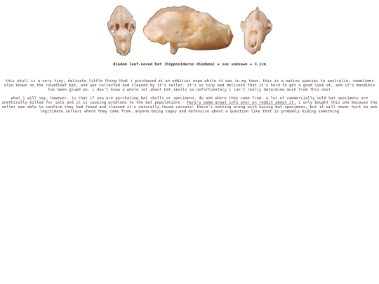 taxidermy/skulls/leafybat screenshot