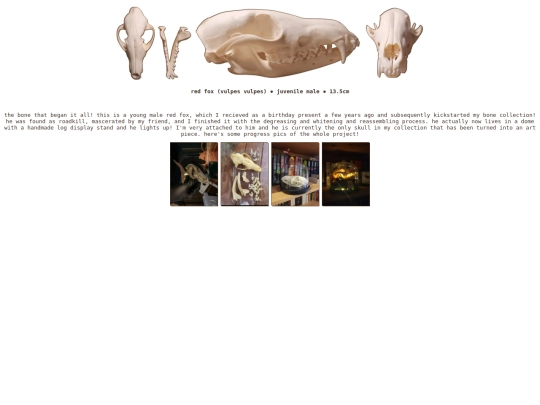 taxidermy/skulls/redfox screenshot
