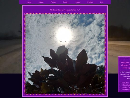 photography screenshot