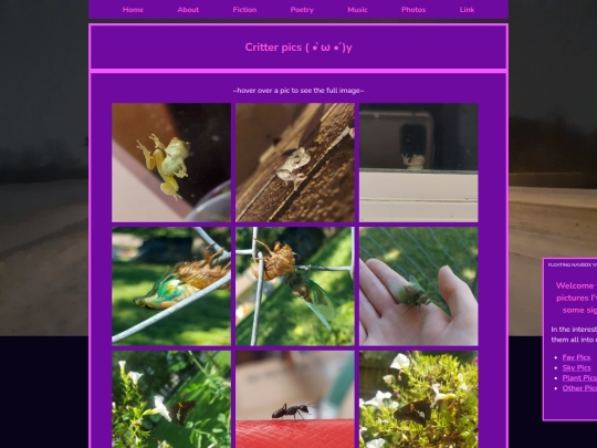 photos/critters screenshot