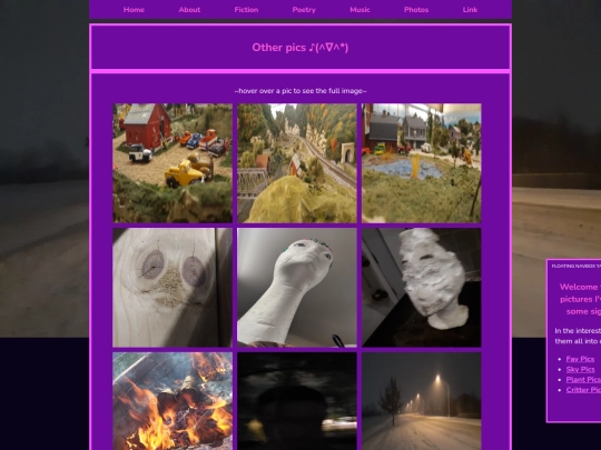 photos/other screenshot
