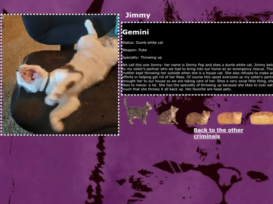 Gemini screenshot