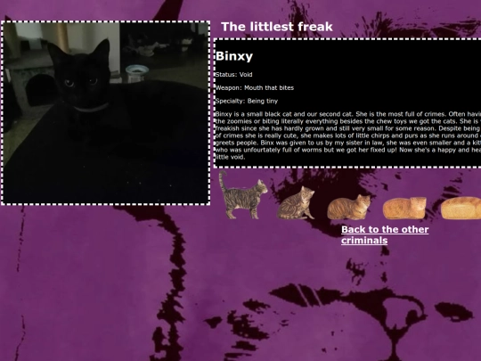 binx screenshot