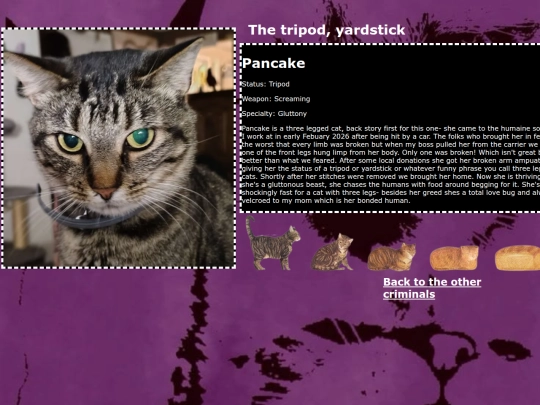 pancake screenshot
