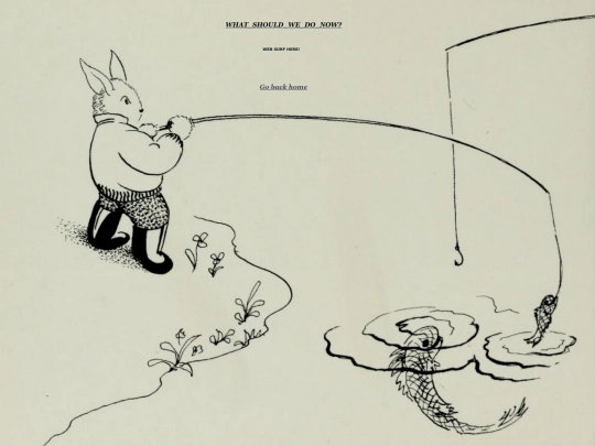 wswdn screenshot