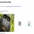 The web site of https-secure avatar