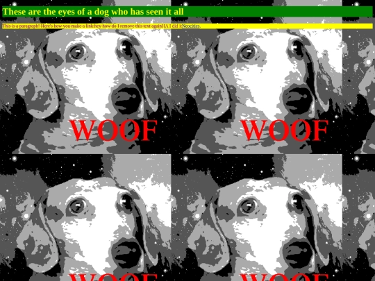 spacedog screenshot