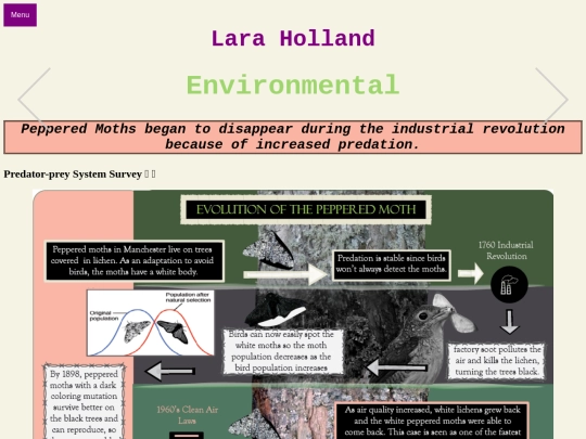 Systems-Lara/Holland_Predator-Prey-env screenshot