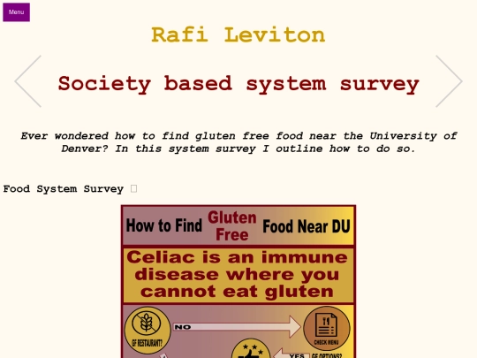 Systems-Rafi/Societal screenshot