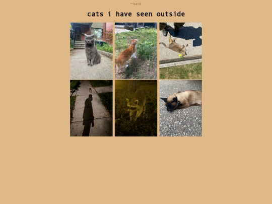 outdoorcats screenshot