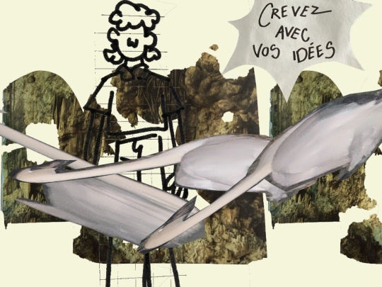 bazarouille/cygnes screenshot