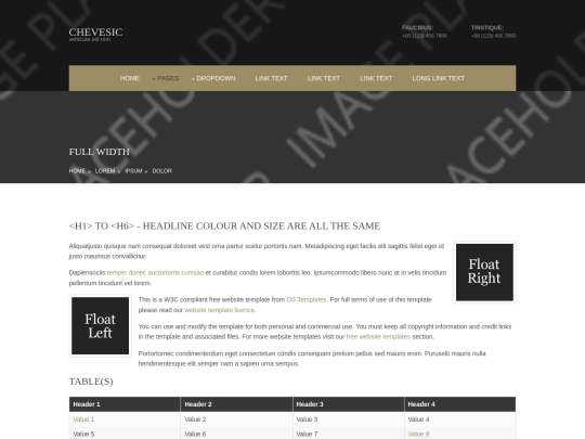 pages/full-width screenshot
