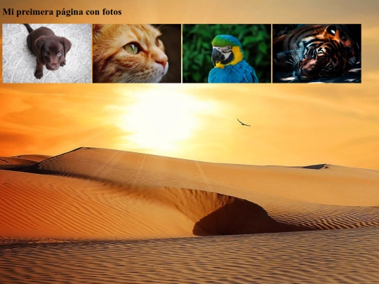 ejemplos/ejemplofoto screenshot