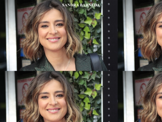 frames/paginapresentadora screenshot