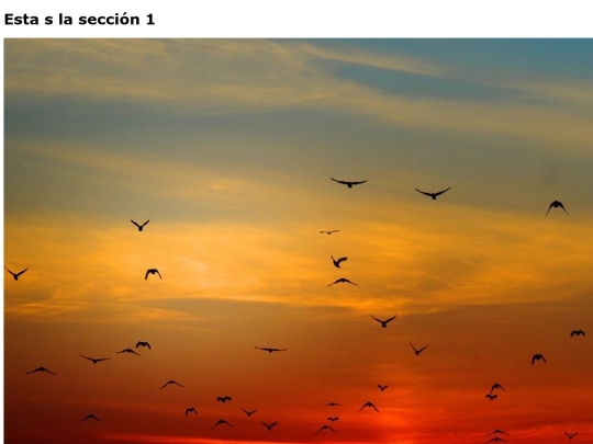 frames/seccion1 screenshot