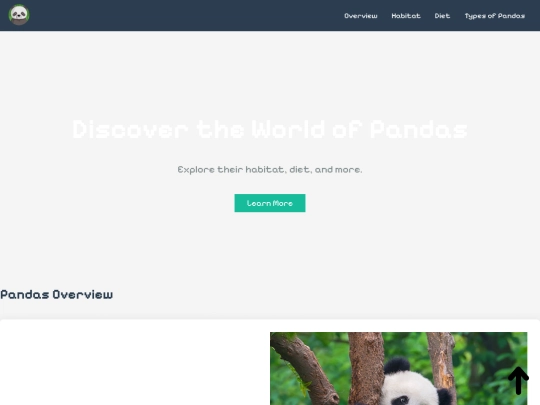 pandas report/idex screenshot