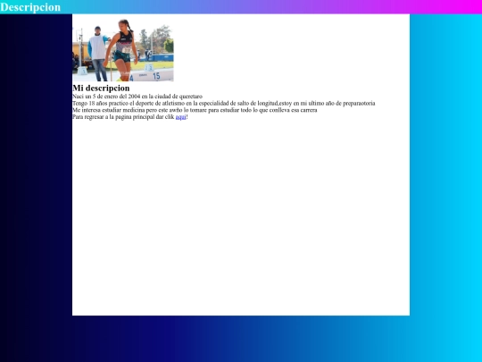 Diseño estructura/Descripcion screenshot
