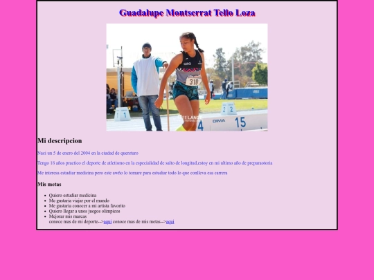 practica1css screenshot