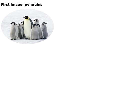 penguins screenshot