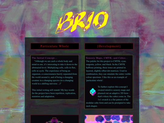 development screenshot
