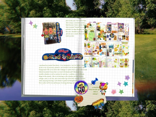 journal screenshot