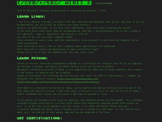 pages/anons-pentest-guide screenshot