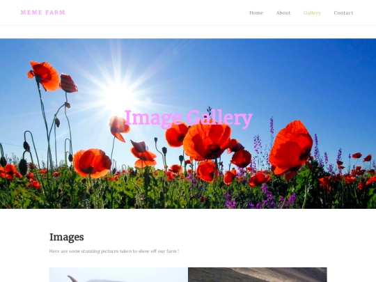 Farm Website/gallery screenshot