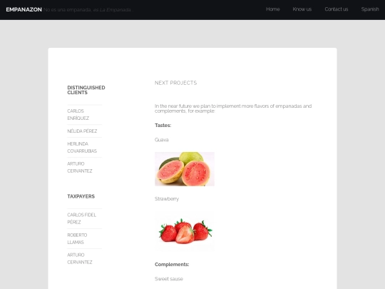 Projects screenshot