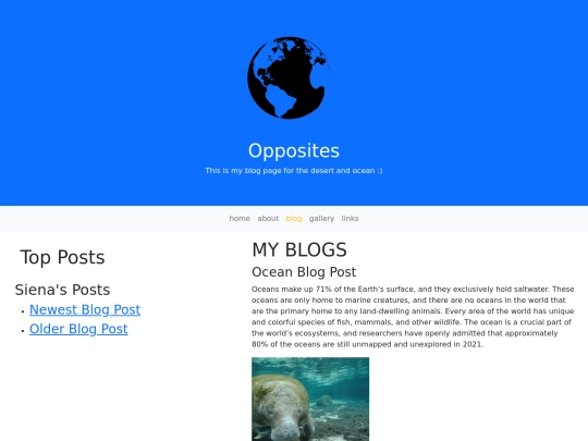 BS5_Blog screenshot