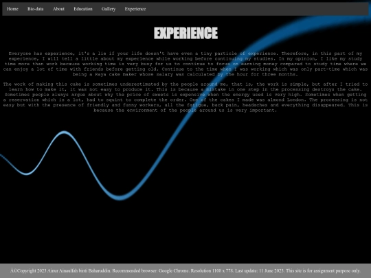 EXPERIENCE screenshot