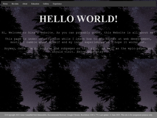 HOMEPAGES screenshot