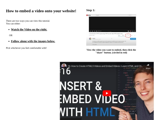 5.04VideoTutorial/tutorial screenshot