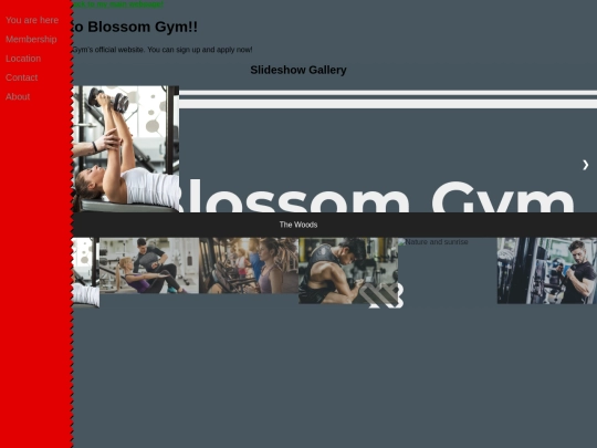 GymPage screenshot