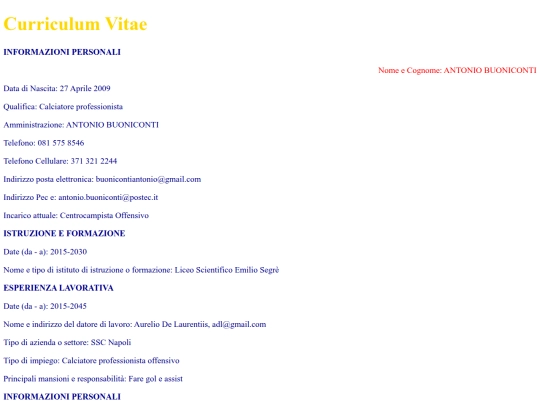 pagine/CV screenshot