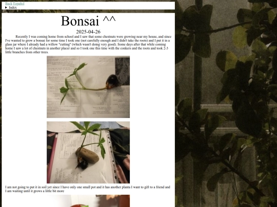blog/bonsai-en screenshot