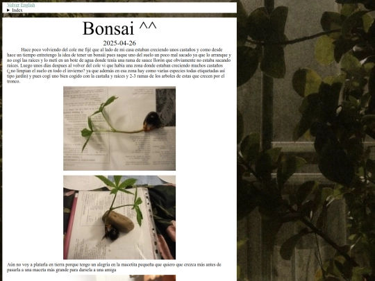 blog/bonsai screenshot