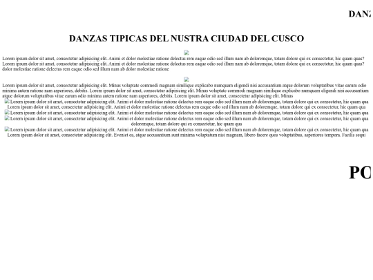 danzas screenshot