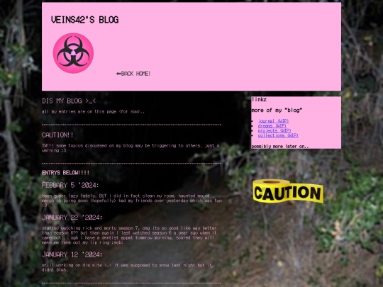 blog screenshot