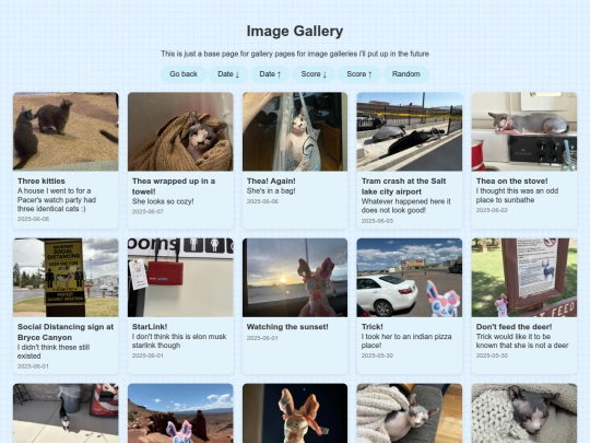 galleries/interestGallery/randomImageGallery screenshot