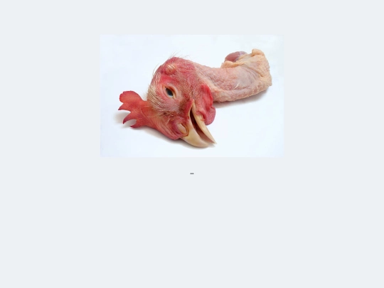 Chicken screenshot