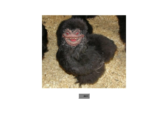 EvilChicken screenshot