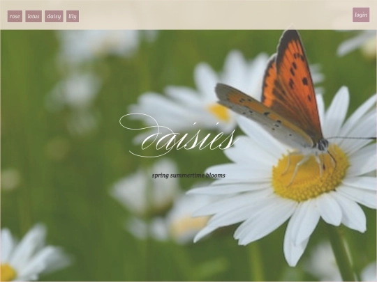 daisy screenshot
