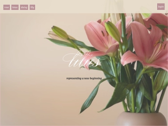 lily screenshot